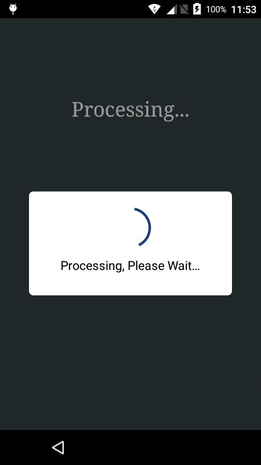 Payment Terminal Processing