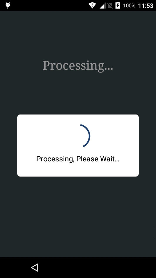 Payment Terminal Processing