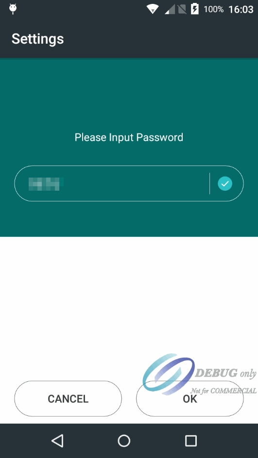 Settings Password Input